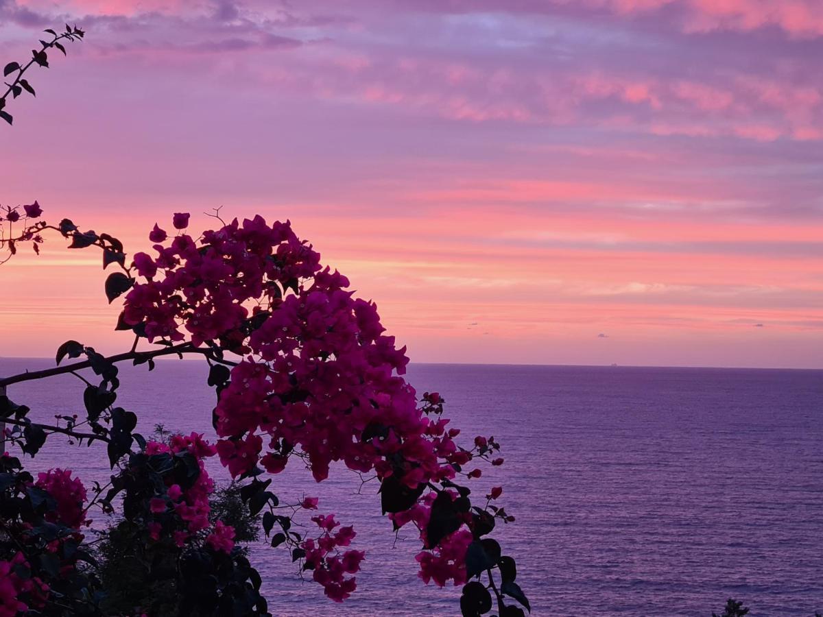 Cielo E Mare: Charming Seaside Retreat in Old Village Heart Castelsardo Exterior photo